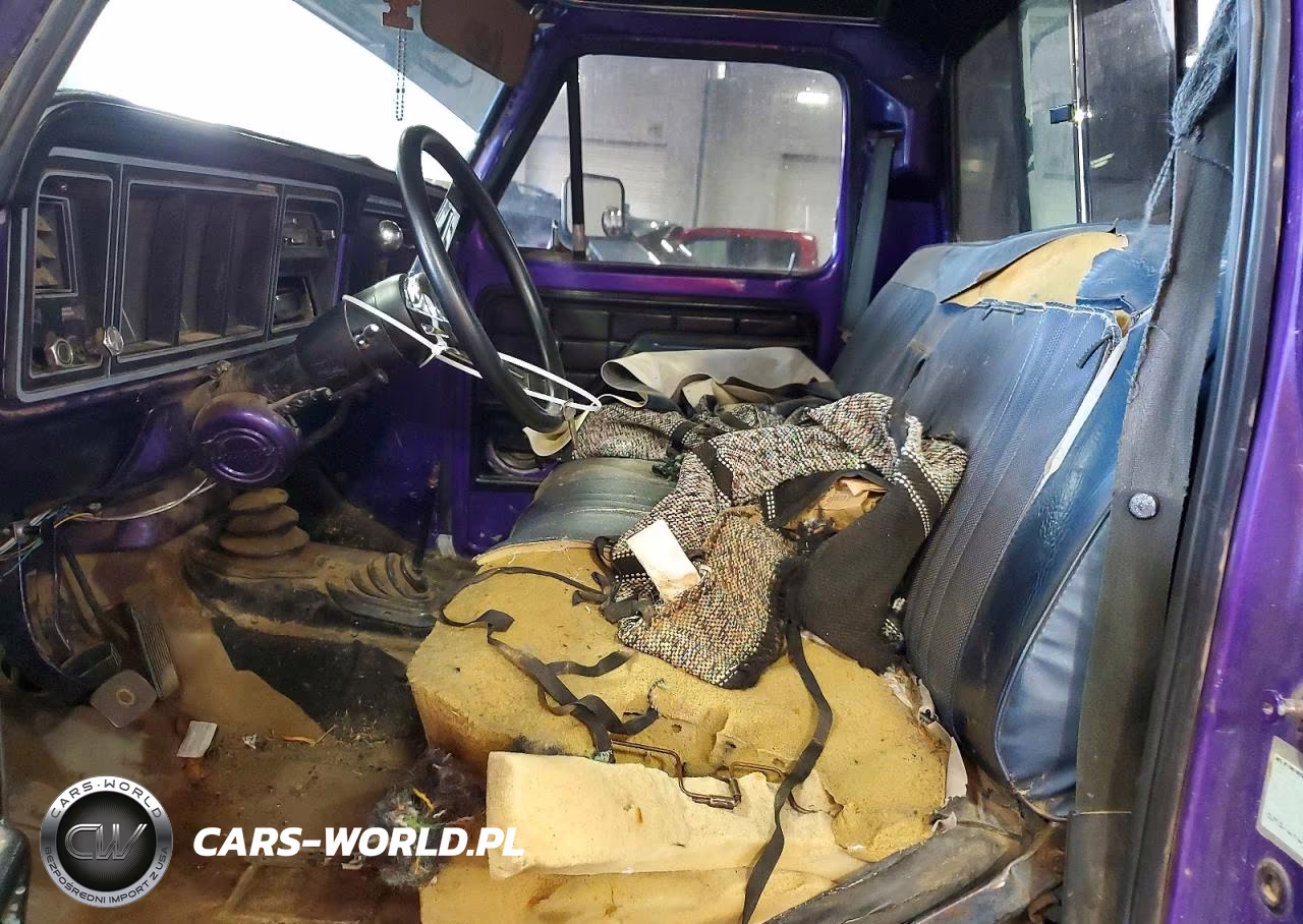 1977 Ford F150 VIN:F14HRZ20343 - 7