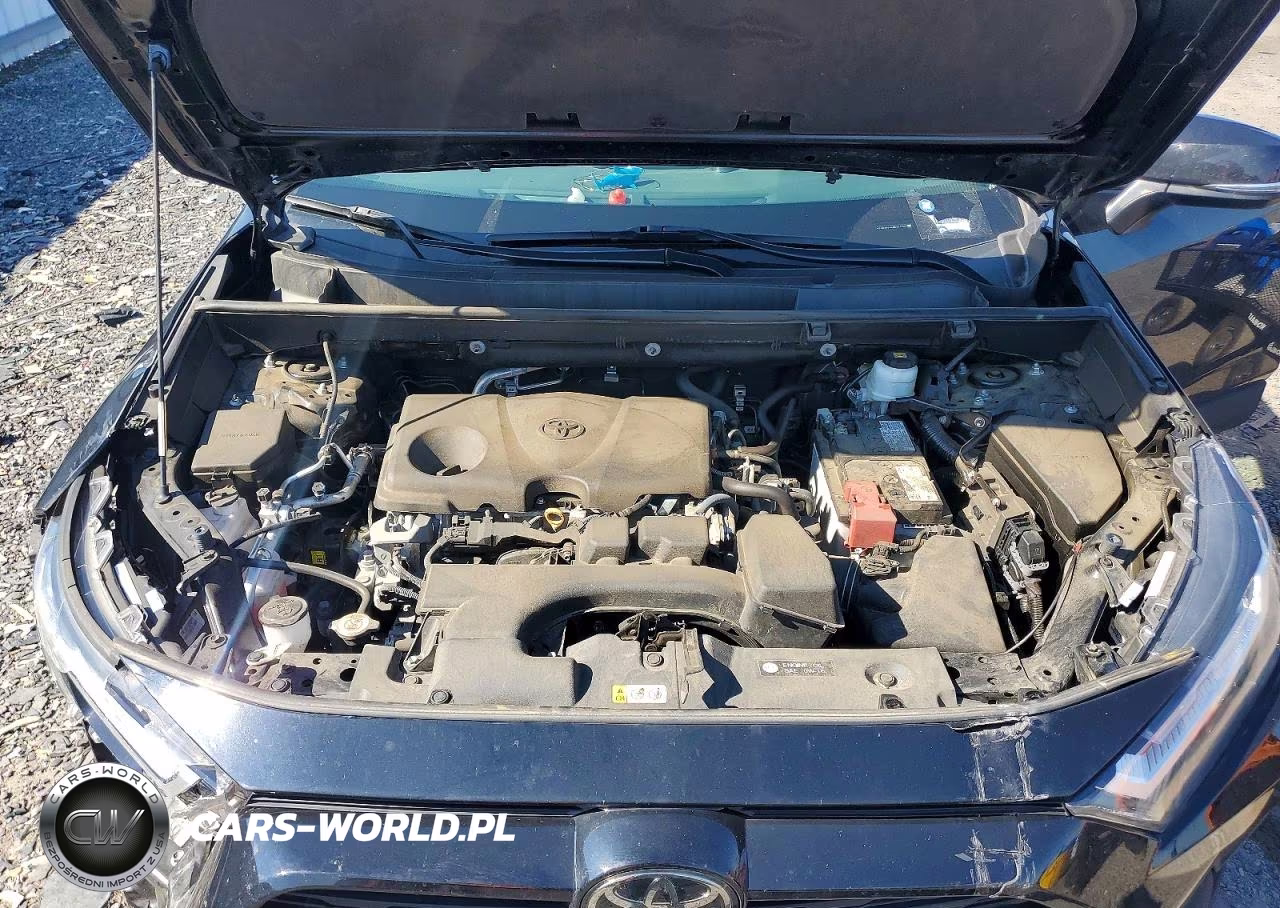 2024 Toyota Rav4 Xle VIN:2T3P1RFV4RW465344 - 12