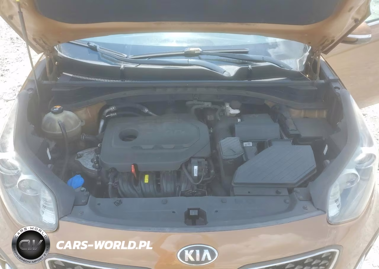 2018 Kia Sportage Ex VIN:KNDPN3AC5J7480202 - 12