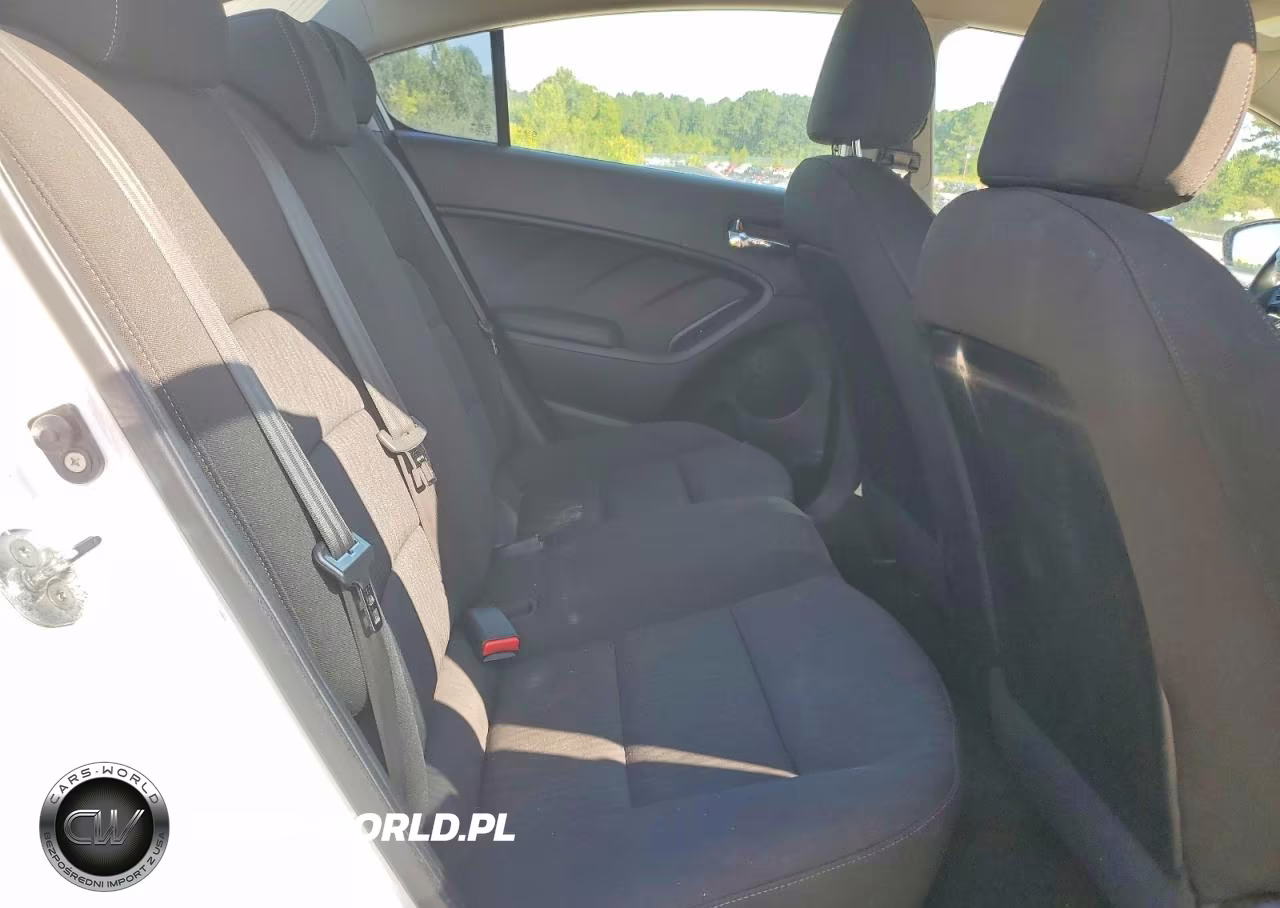 2016 Kia Forte Lx VIN:KNAFK4A65G5511390 - 10