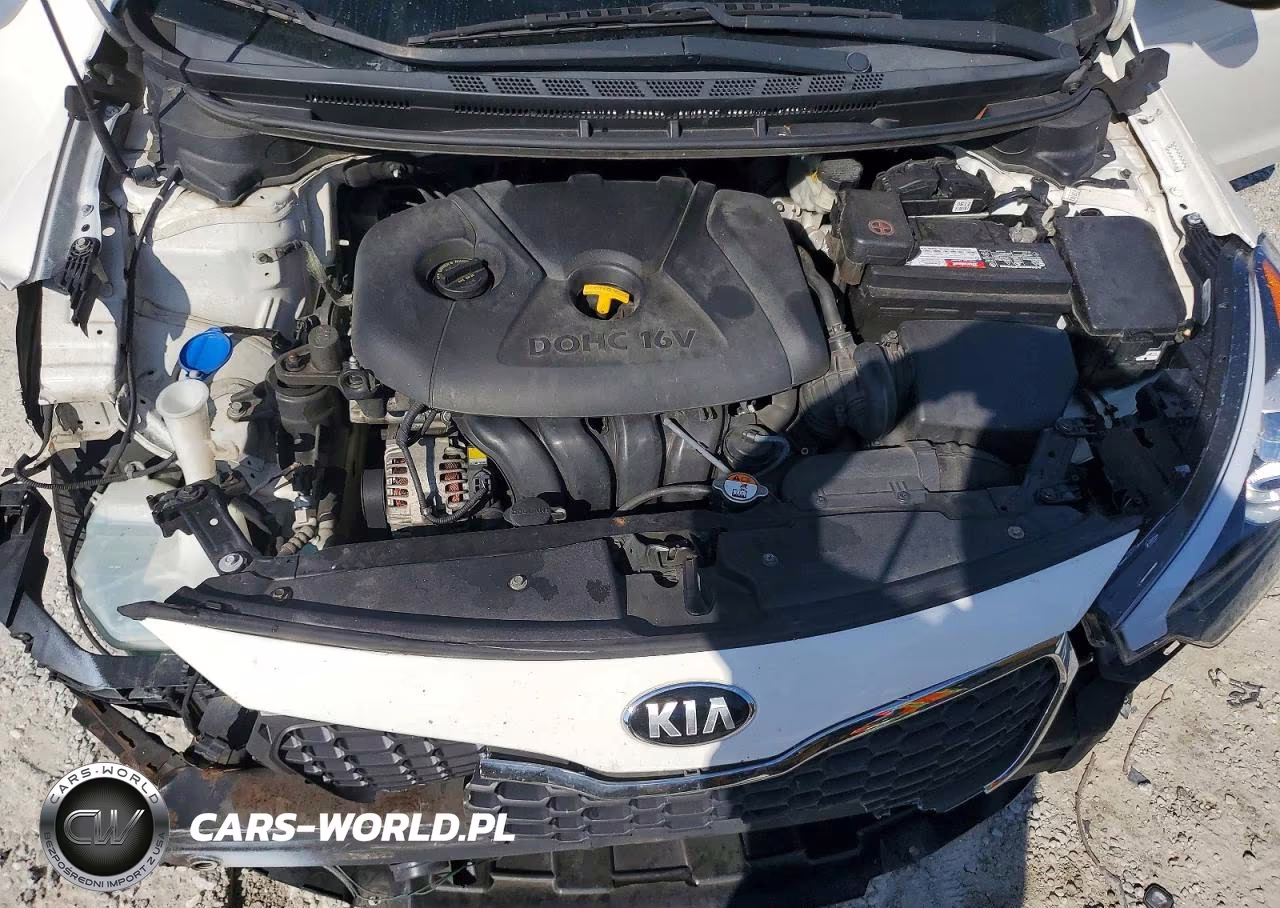 2016 Kia Forte Lx VIN:KNAFK4A65G5511390 - 11