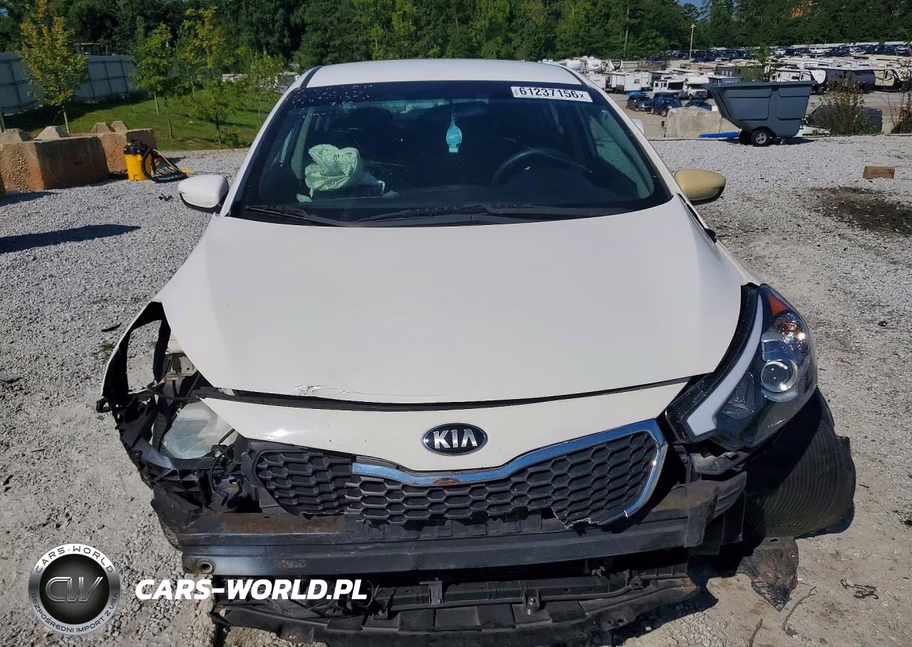 2016 Kia Forte Lx VIN:KNAFK4A65G5511390 - 5