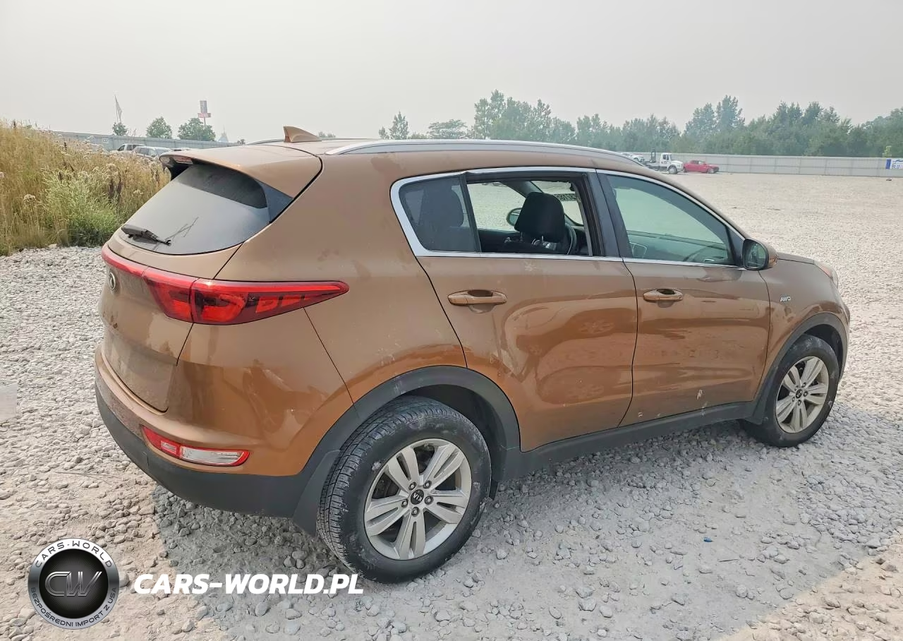 2017 Kia Sportage Lx VIN:KNDPMCAC4H7261423 - 3