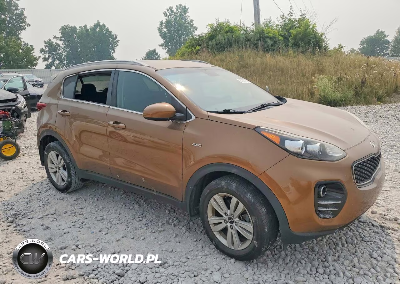 2017 Kia Sportage Lx VIN:KNDPMCAC4H7261423 - 4