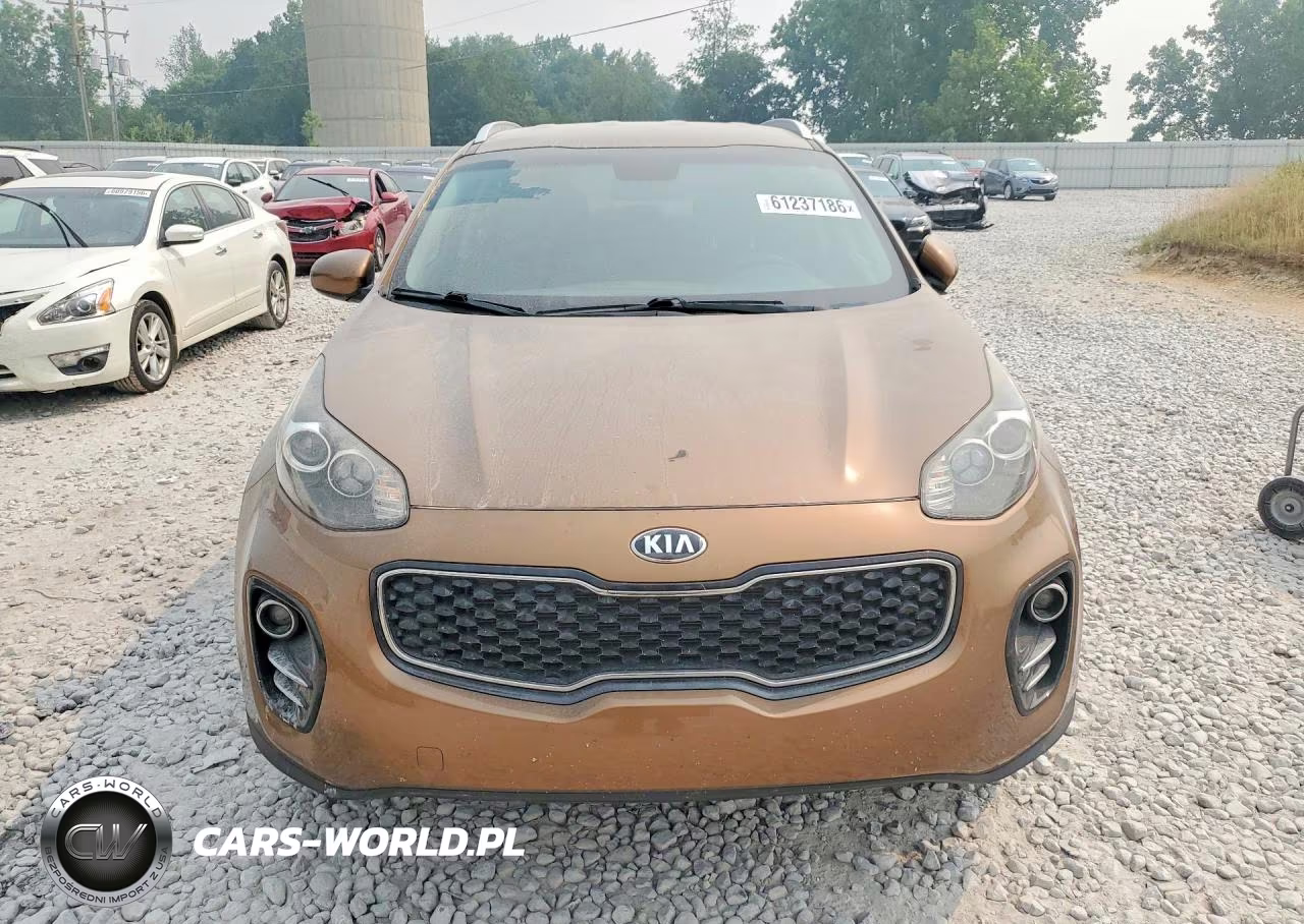 2017 Kia Sportage Lx VIN:KNDPMCAC4H7261423 - 5