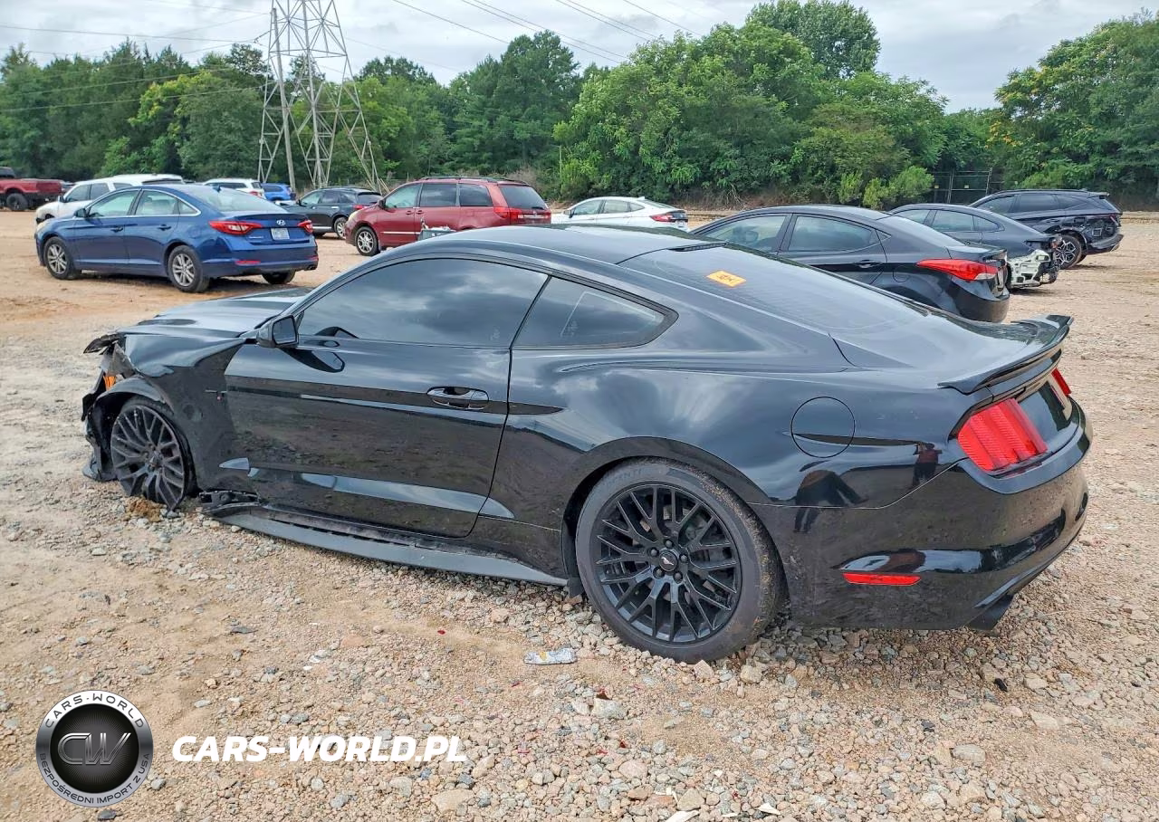 2016 Ford Mustang Gt VIN:1FA6P8CF6G5316848 - 2
