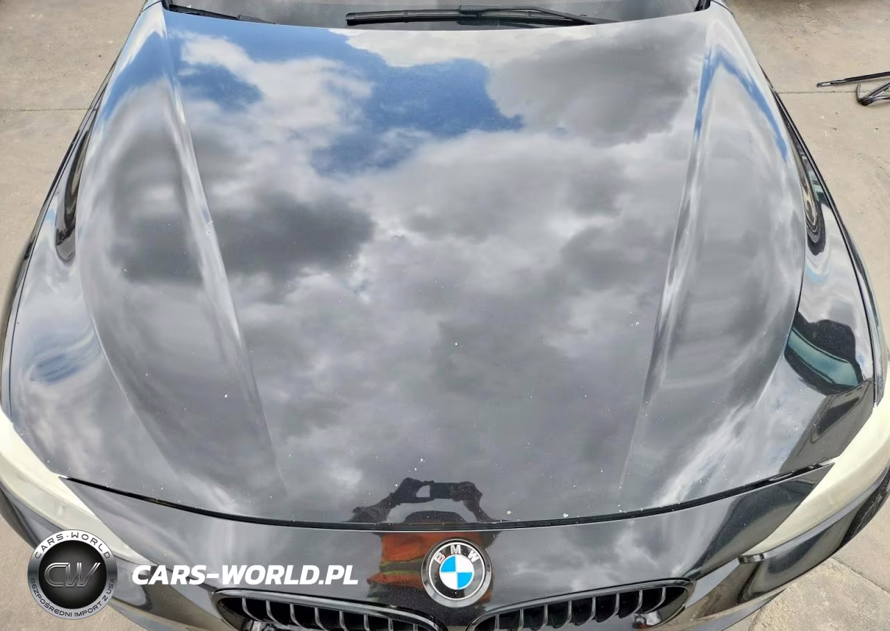 2015 BMW 328 Xi Sulev VIN:WBA3B5C53FF960105 - 11