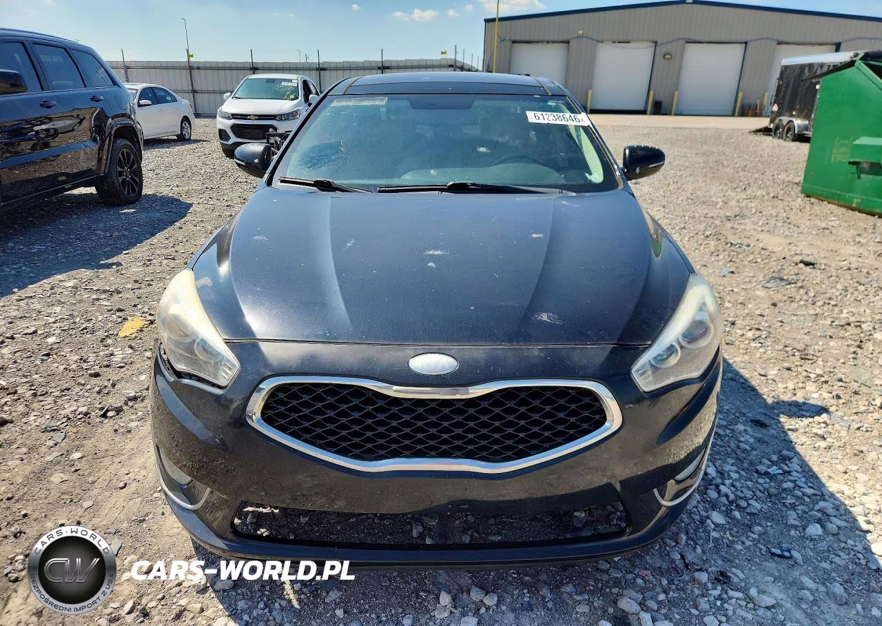 2014 Kia Cadenza Premium VIN:KNALN4D77E5154662 - 5