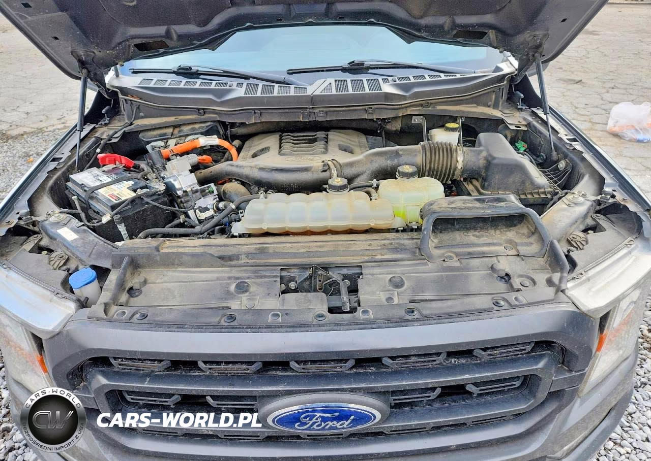 2021 Ford F150 Supercrew VIN:1FTFW1CD4MFD03489 - 11