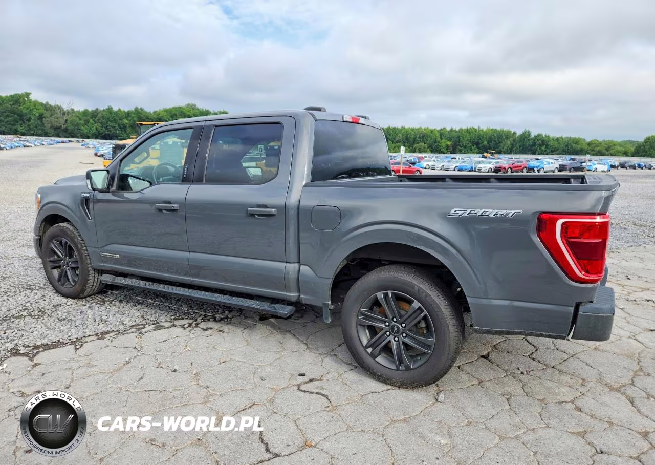 2021 Ford F150 Supercrew VIN:1FTFW1CD4MFD03489 - 2