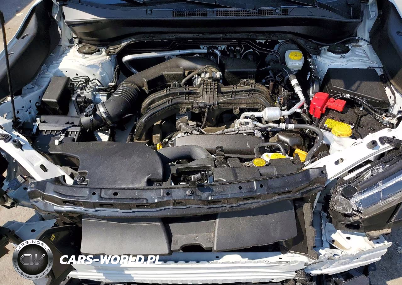 2025 Subaru Forester VIN:JF2SLDAC4SH617973 - 12