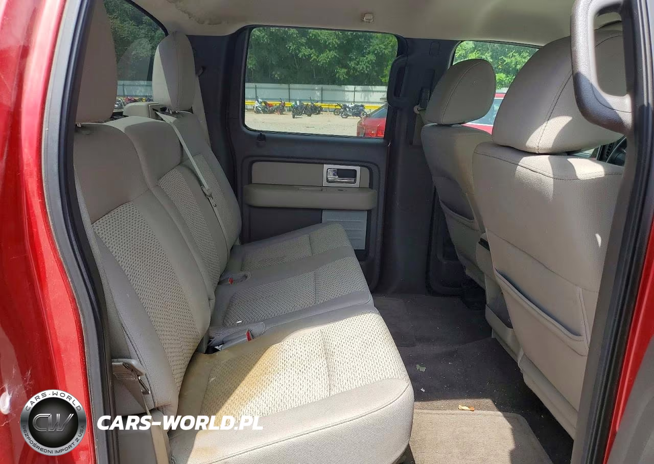 2010 Ford F150 Supercrew VIN:1FTEW1C86AFC16297 - 10