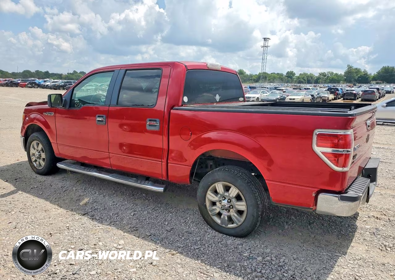 2010 Ford F150 Supercrew VIN:1FTEW1C86AFC16297 - 2