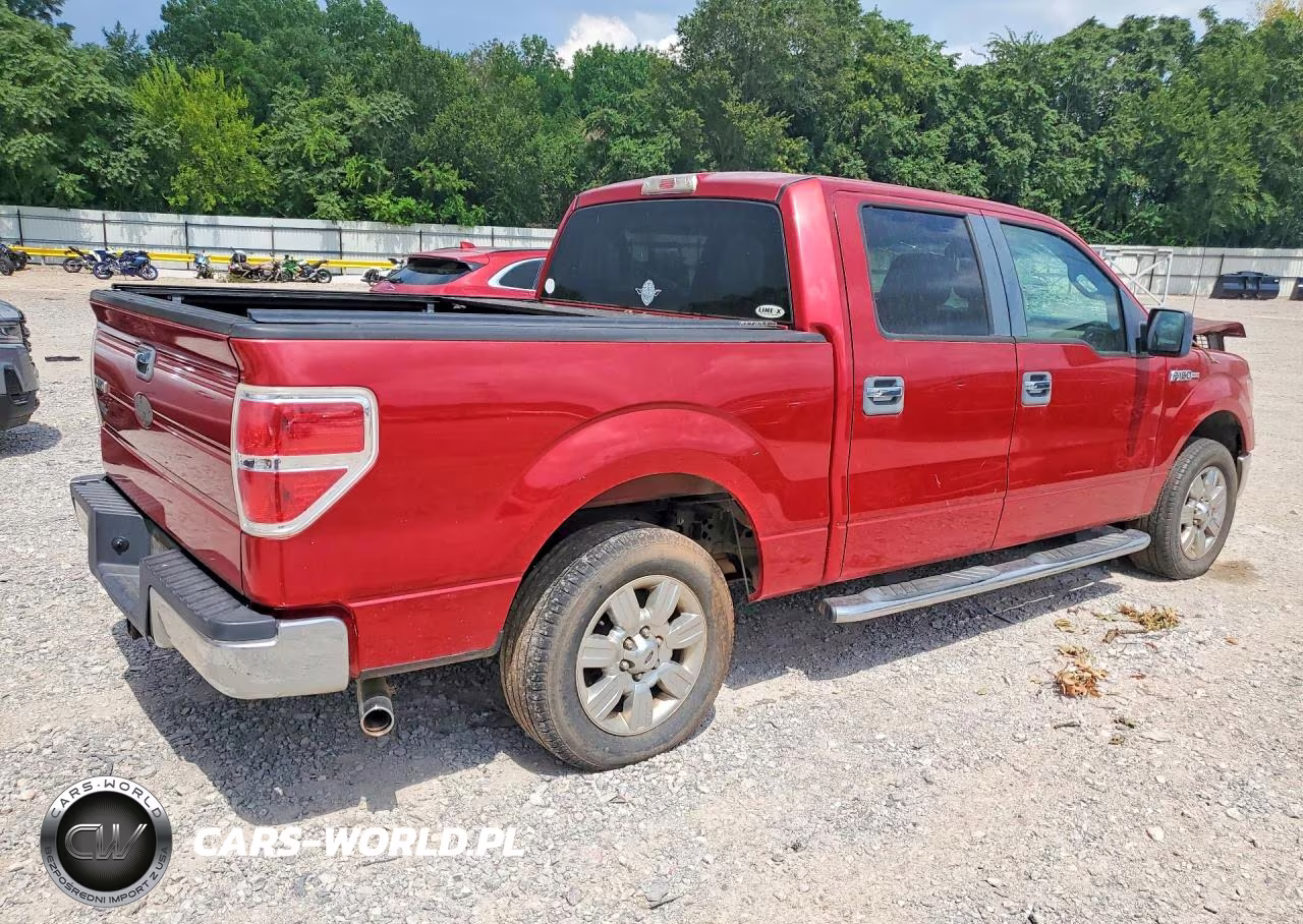 2010 Ford F150 Supercrew VIN:1FTEW1C86AFC16297 - 3