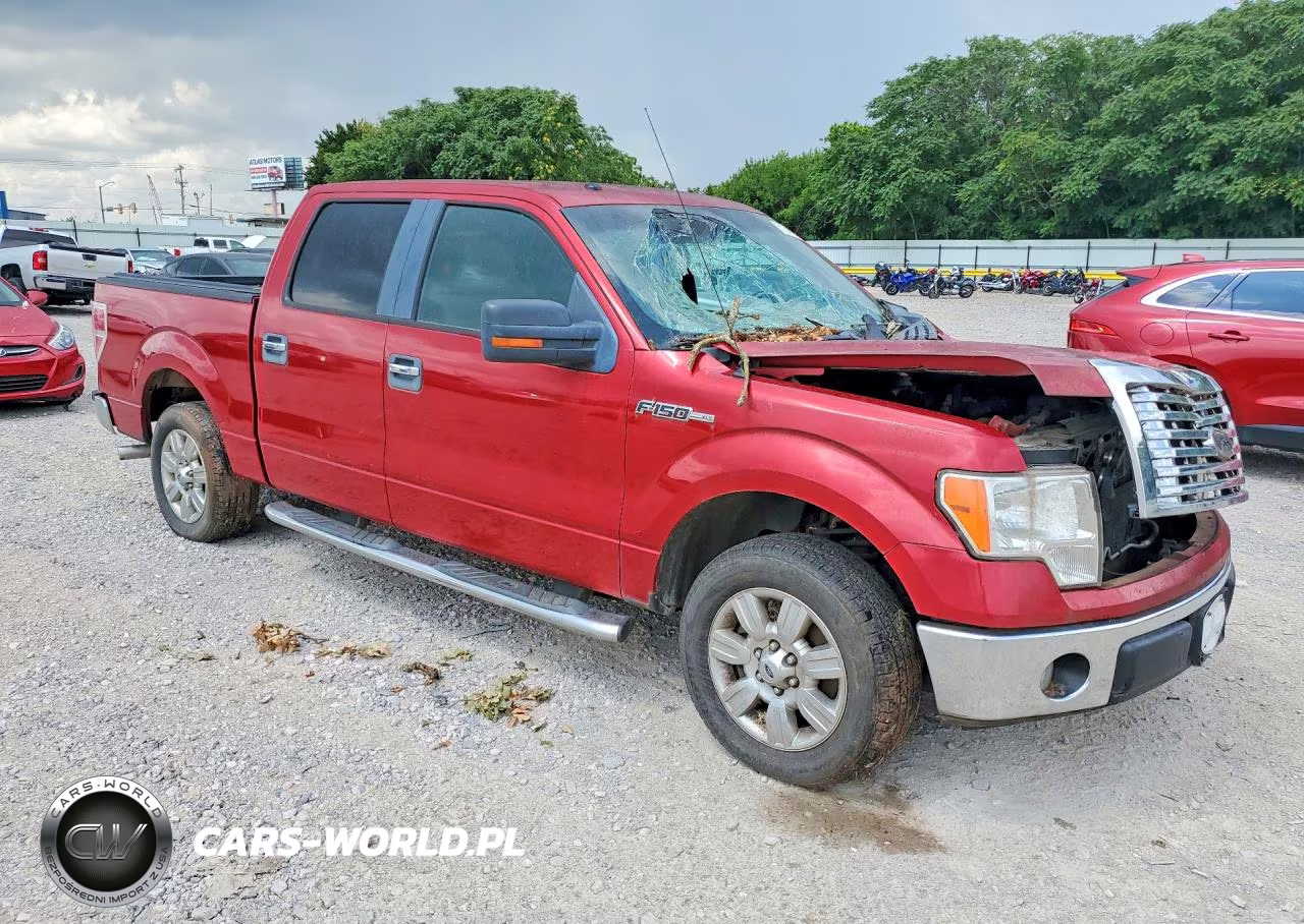 2010 Ford F150 Supercrew VIN:1FTEW1C86AFC16297 - 4
