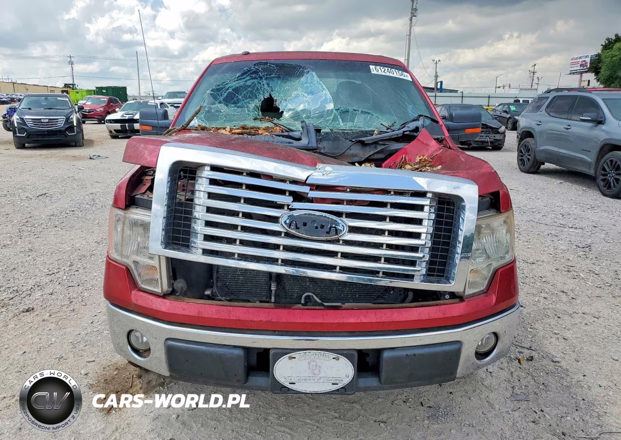2010 Ford F150 Supercrew VIN:1FTEW1C86AFC16297 - 5