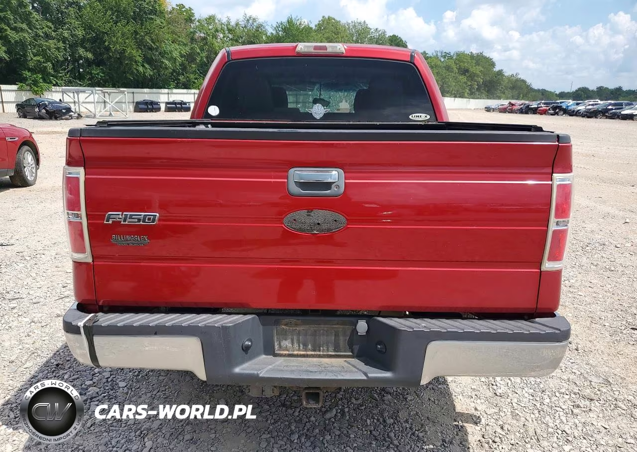 2010 Ford F150 Supercrew VIN:1FTEW1C86AFC16297 - 6
