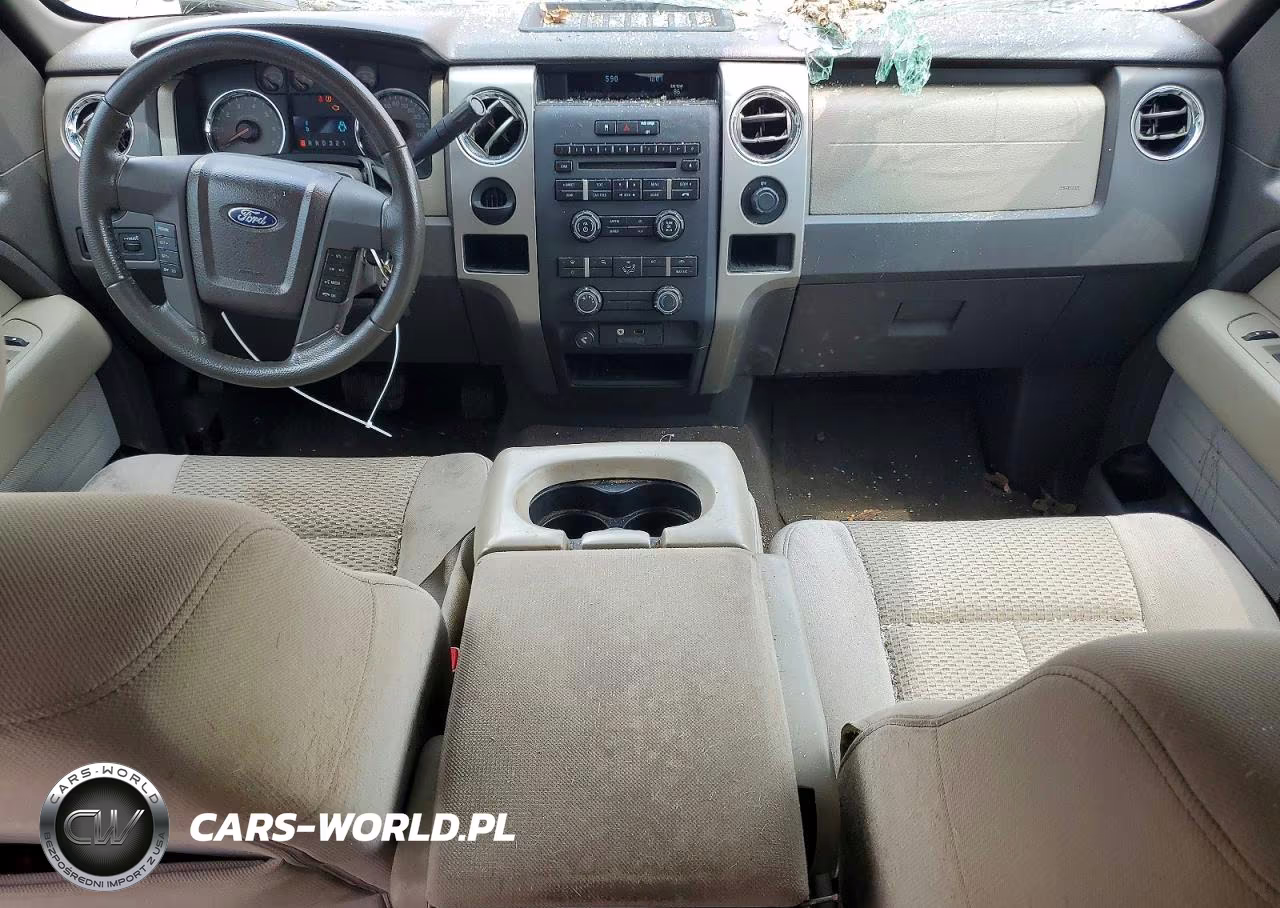 2010 Ford F150 Supercrew VIN:1FTEW1C86AFC16297 - 8