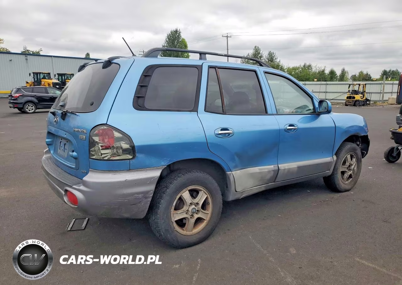 2004 Hyundai Santa Fe Gls VIN:KM8SC73E64U759908 - 3