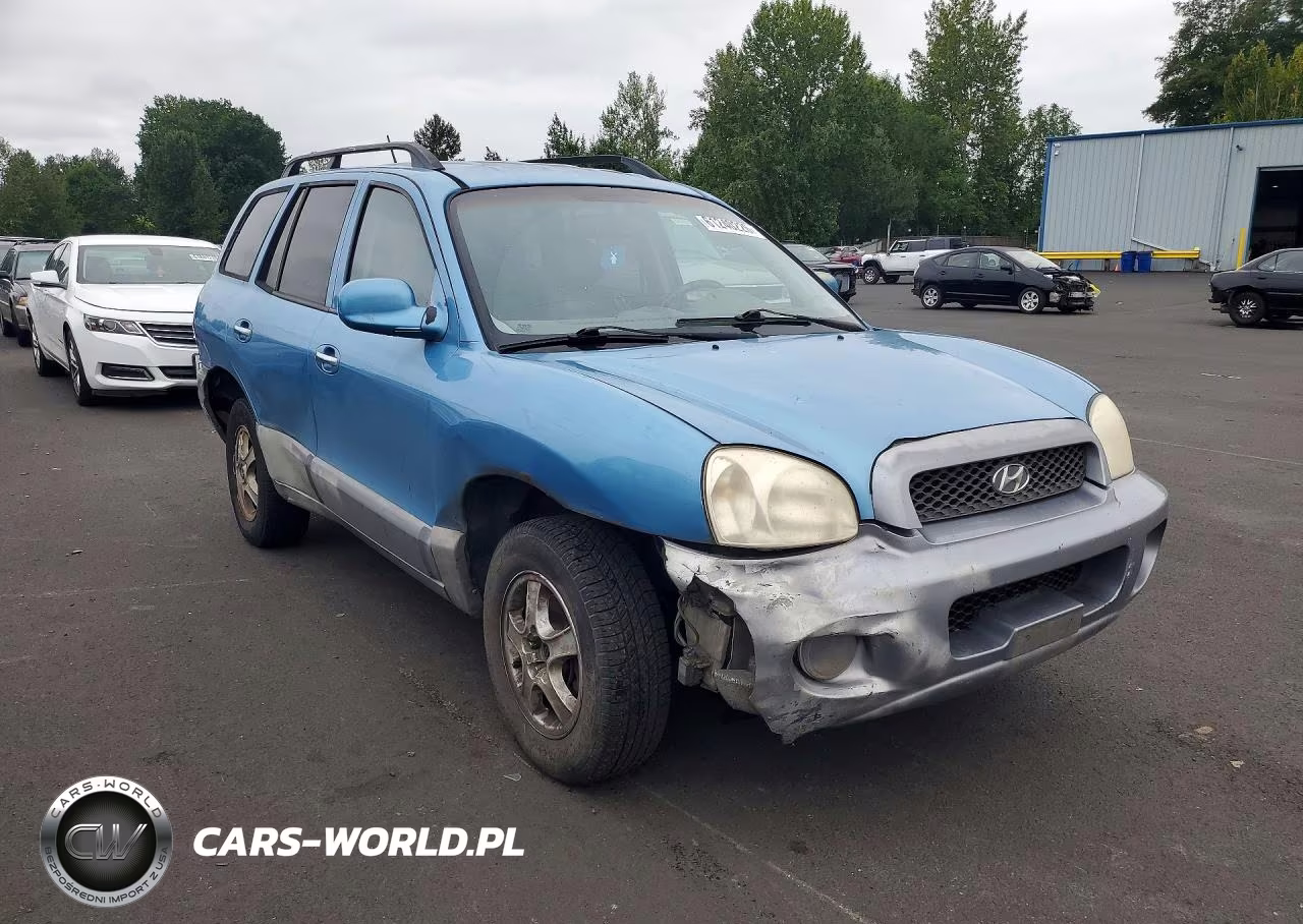 2004 Hyundai Santa Fe Gls VIN:KM8SC73E64U759908 - 4