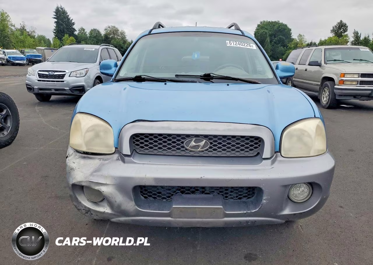 2004 Hyundai Santa Fe Gls VIN:KM8SC73E64U759908 - 5