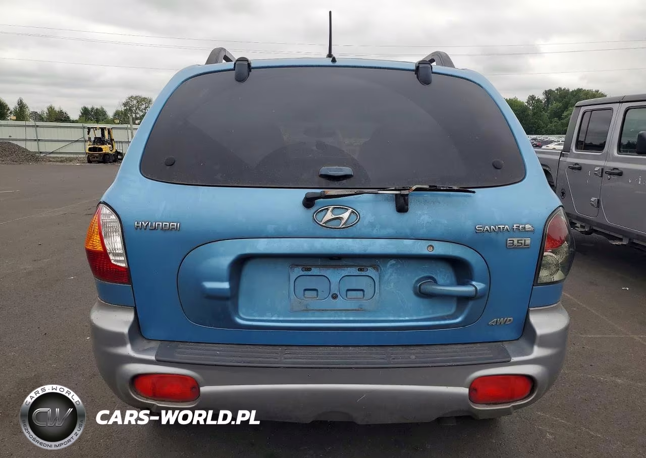 2004 Hyundai Santa Fe Gls VIN:KM8SC73E64U759908 - 6