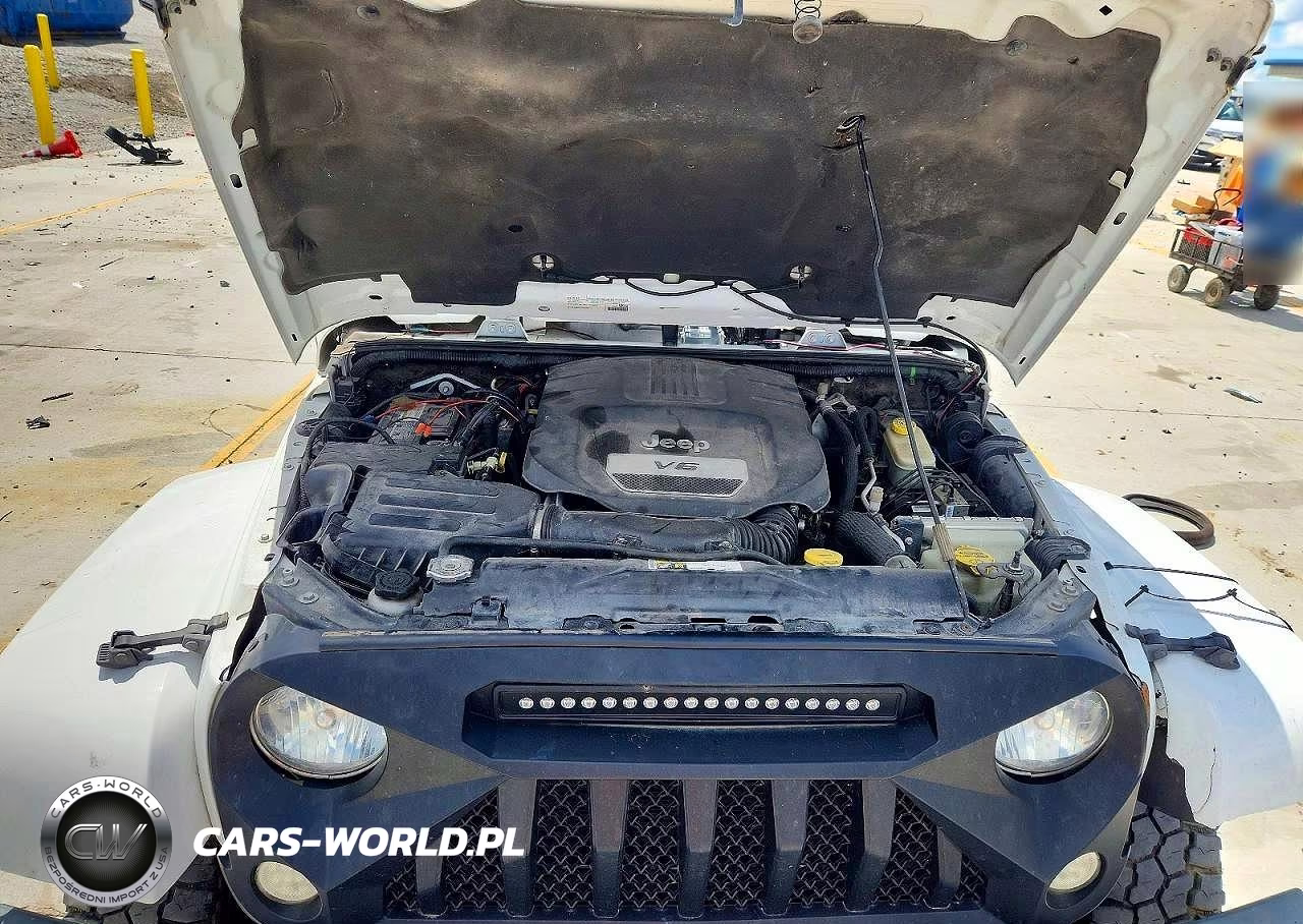 2016 Jeep Wrangler Unlimited Rubicon VIN:1C4HJWFGXGL106133 - 12