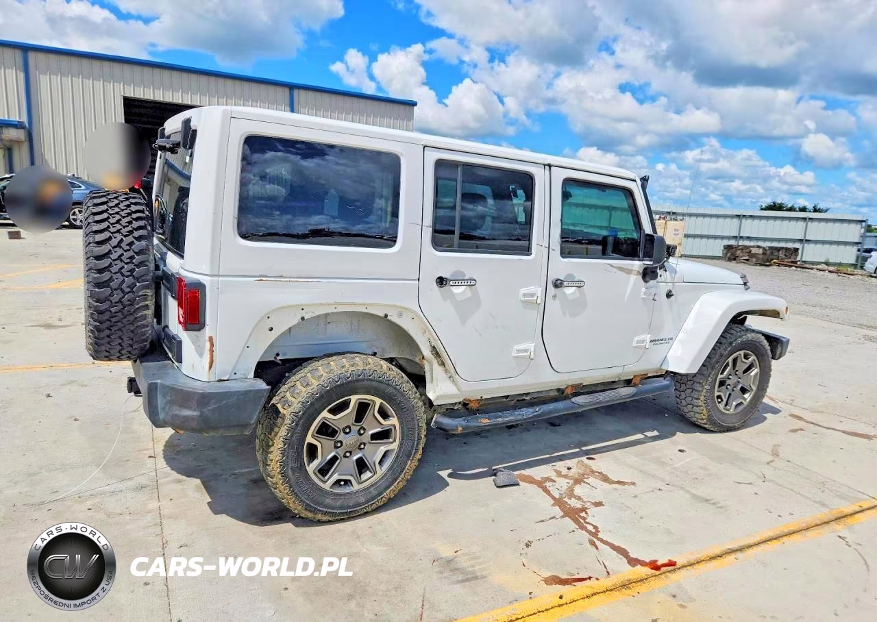 2016 Jeep Wrangler Unlimited Rubicon VIN:1C4HJWFGXGL106133 - 3