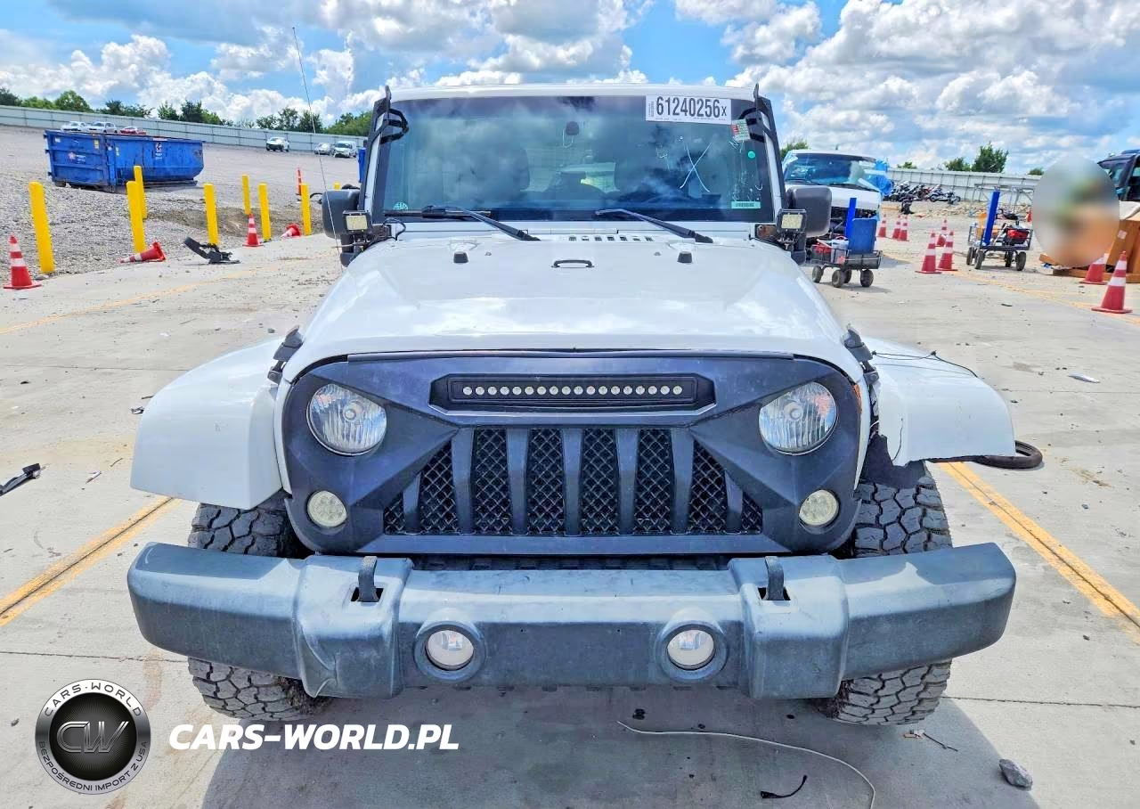 2016 Jeep Wrangler Unlimited Rubicon VIN:1C4HJWFGXGL106133 - 5