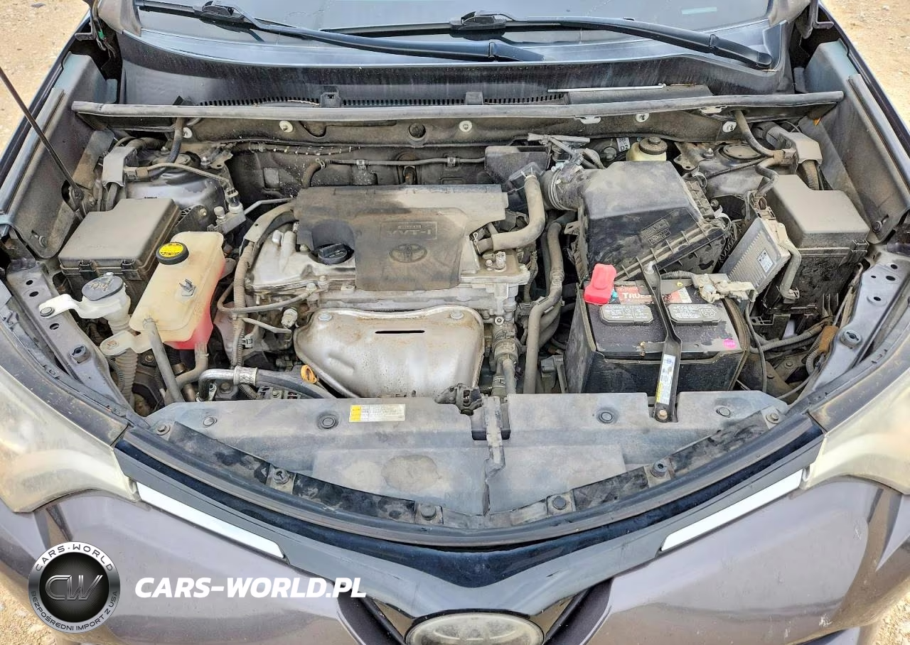 2017 Toyota Rav4 Xle VIN:2T3WFREV8HW389804 - 12