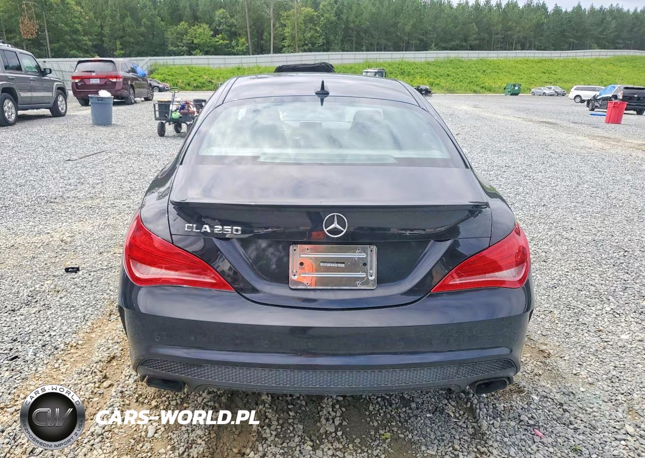 2014 Mercedes-Benz Cla 250 VIN:WDDSJ4EB3EN041486 - 6