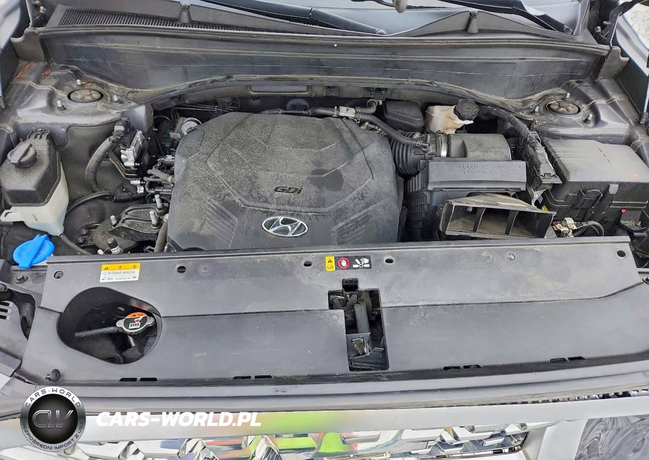 2021 Hyundai Palisade Limited VIN:KM8R5DHE7MU175632 - 12