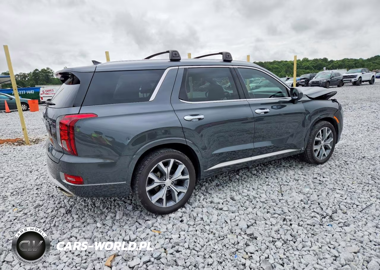 2021 Hyundai Palisade Limited VIN:KM8R5DHE7MU175632 - 3