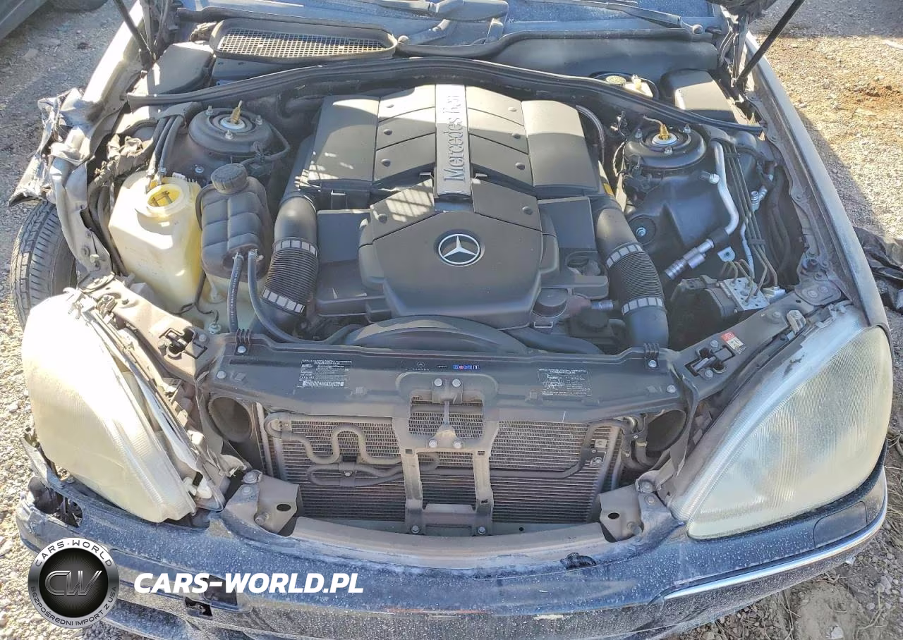 2002 Mercedes-Benz S 500 VIN:WDBNG75J92A287023 - 12