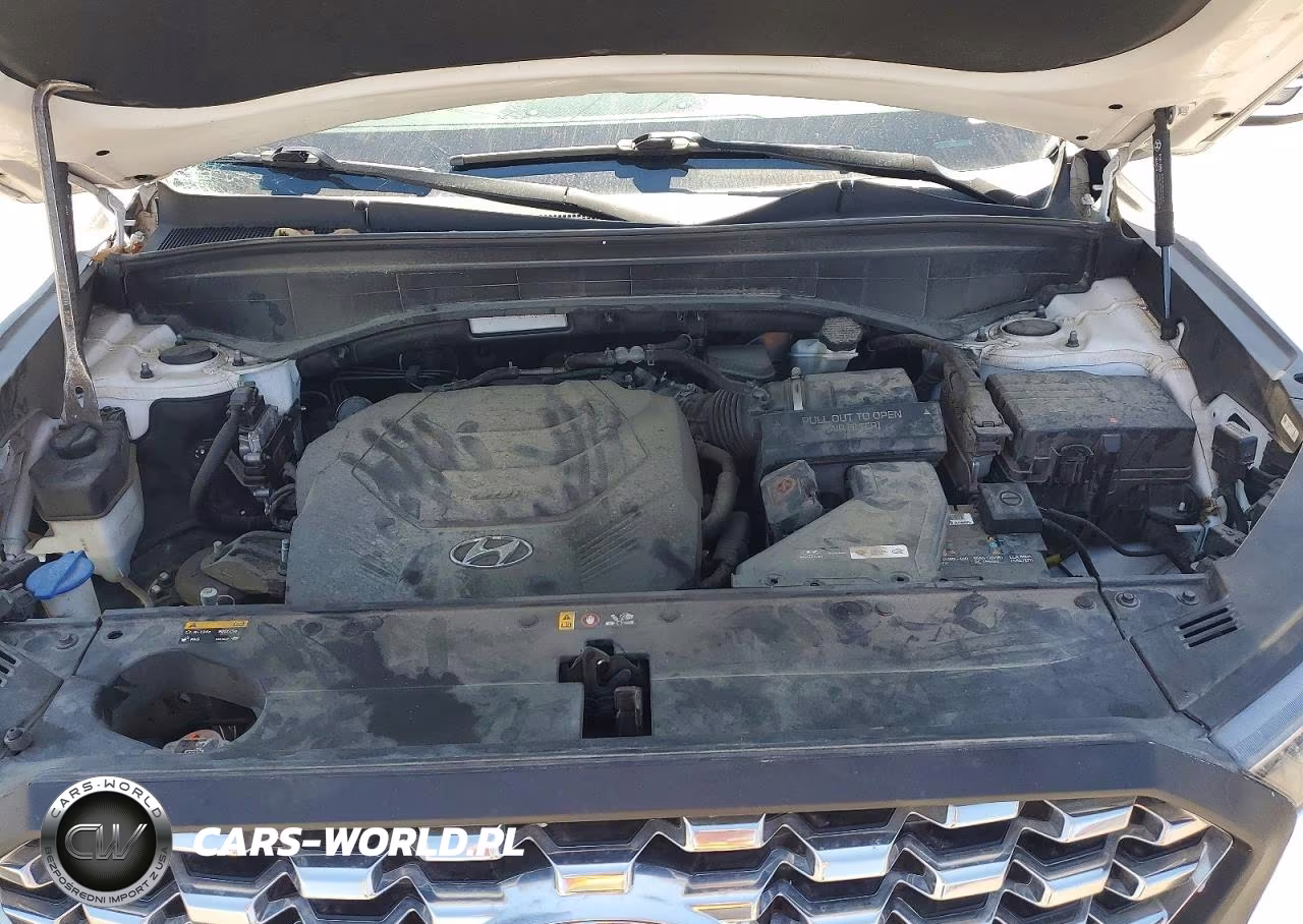 2020 Hyundai Palisade Sel VIN:KM8R3DHE4LU082202 - 12