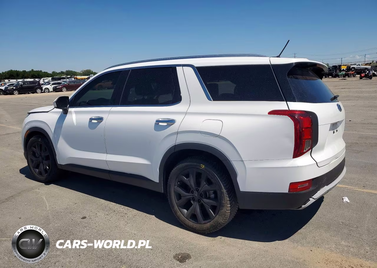 2020 Hyundai Palisade Sel VIN:KM8R3DHE4LU082202 - 2