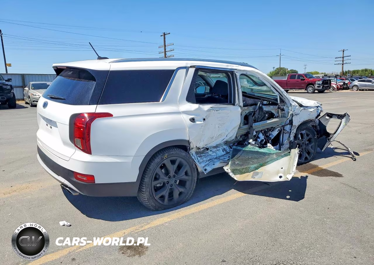 2020 Hyundai Palisade Sel VIN:KM8R3DHE4LU082202 - 3