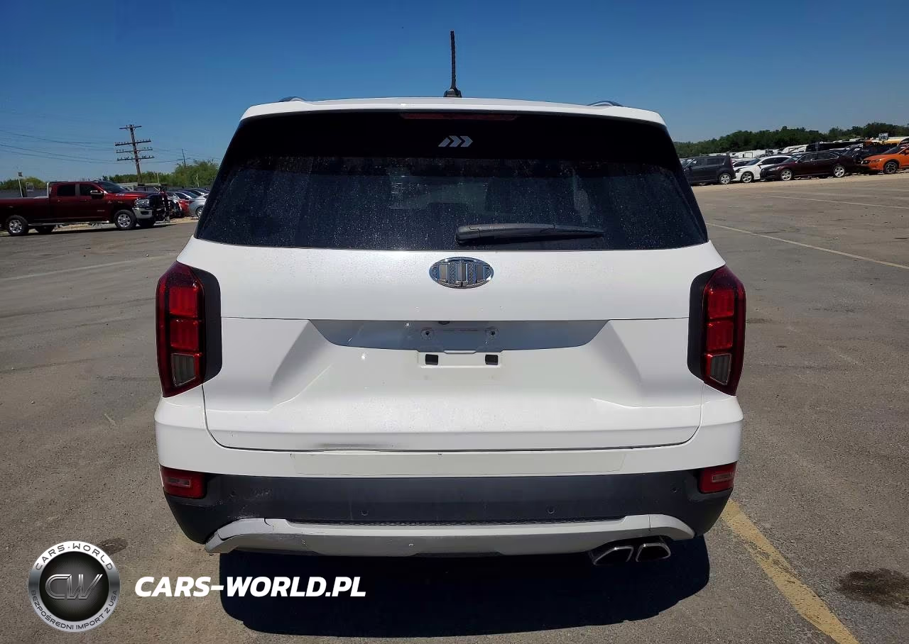 2020 Hyundai Palisade Sel VIN:KM8R3DHE4LU082202 - 6