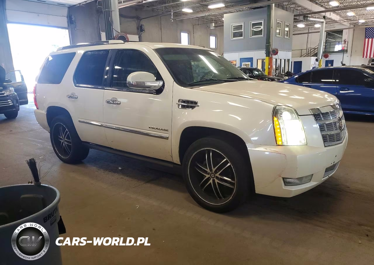 2011 Cadillac Escalade Platinum VIN:1GYS4DEF5BR378339 - 4