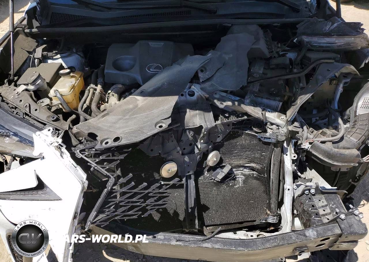 2020 Lexus Nx 300 F Sport VIN:JTJSARBZXL5012800 - 12