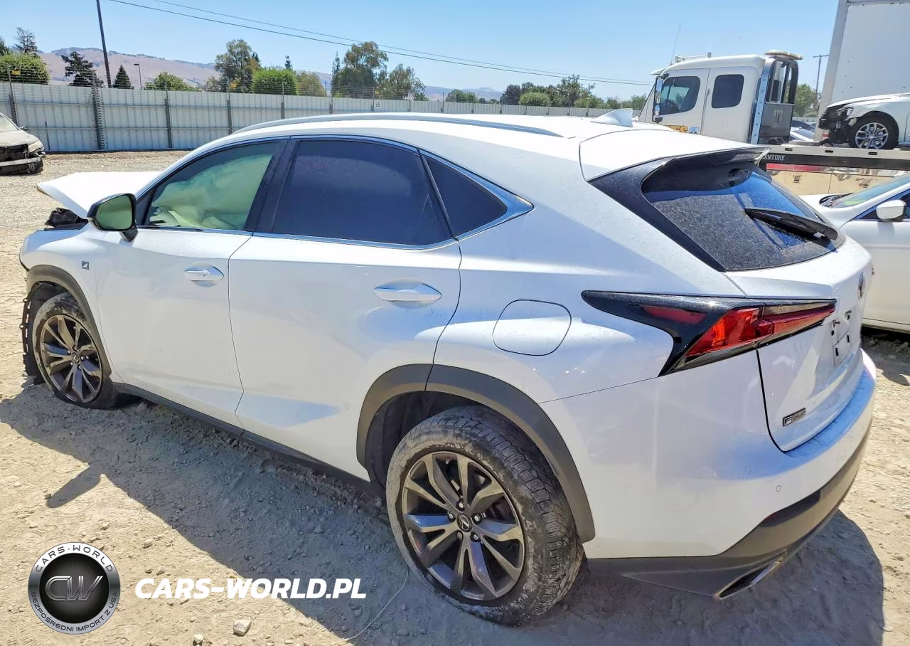 2020 Lexus Nx 300 F Sport VIN:JTJSARBZXL5012800 - 2