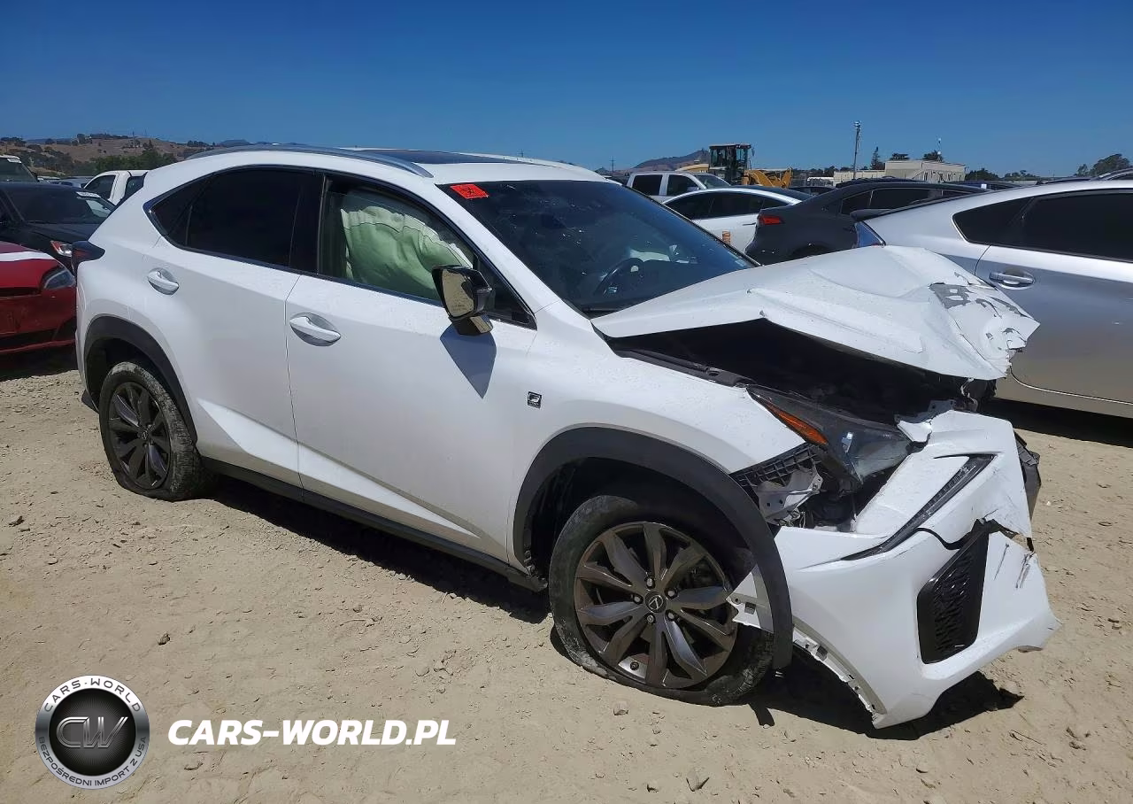 2020 Lexus Nx 300 F Sport VIN:JTJSARBZXL5012800 - 4