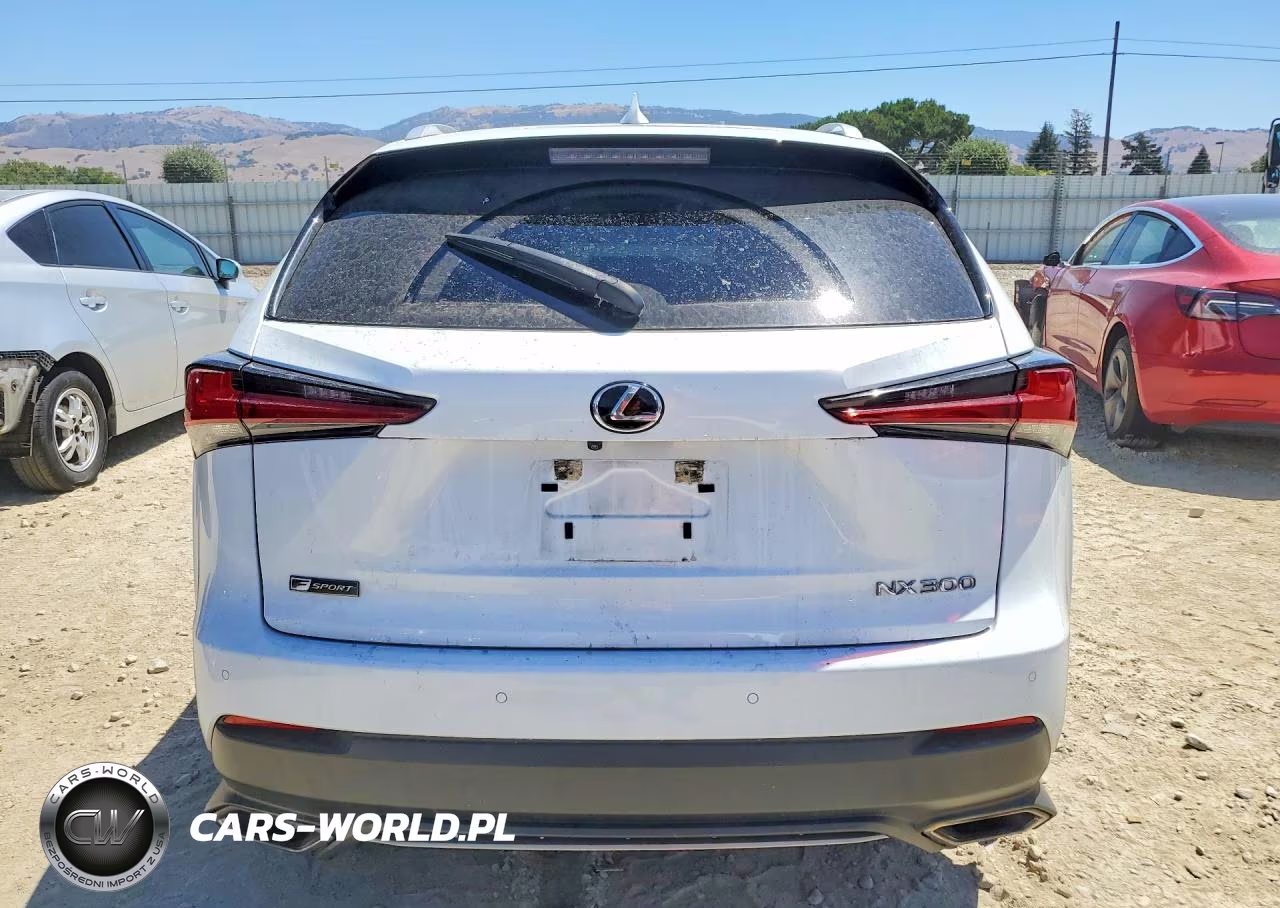 2020 Lexus Nx 300 F Sport VIN:JTJSARBZXL5012800 - 6