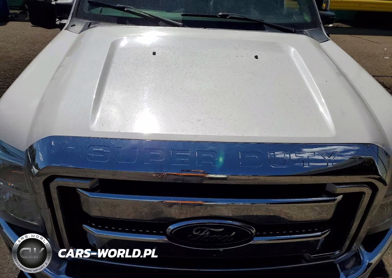 2015 Ford F250 Super Duty VIN:1FT7W2BT3FED15953 - 11