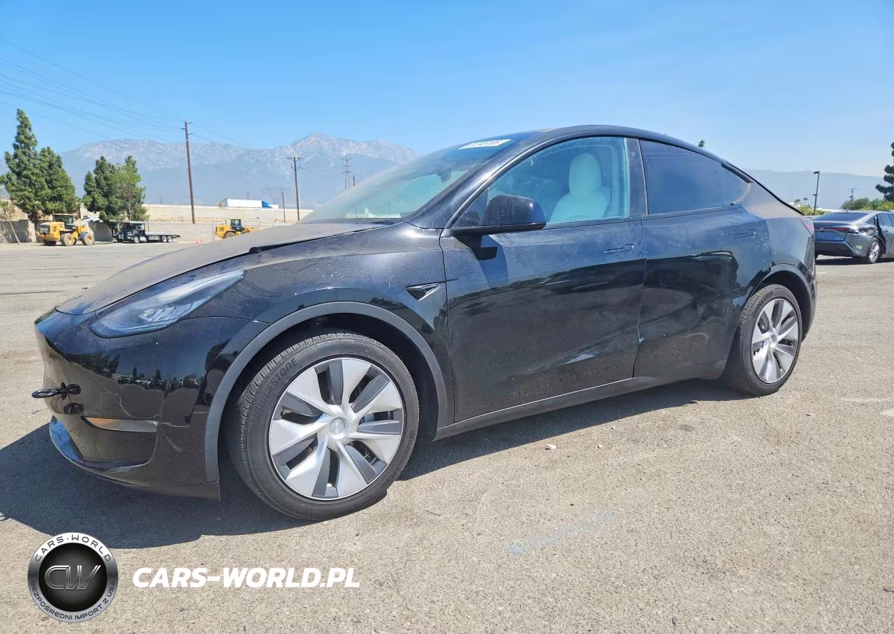 2020 Tesla Model Y