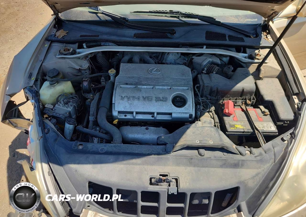 2004 Lexus Es 330 VIN:JTHBA30G345003874 - 11