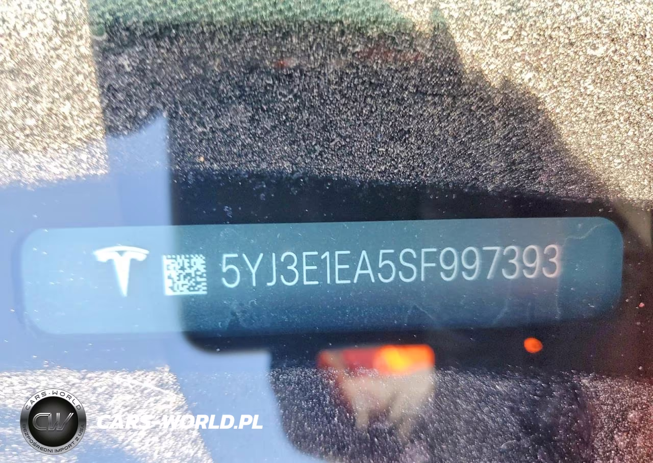 2025 Tesla Model 3 VIN:5YJ3E1EA5SF997393 - 12