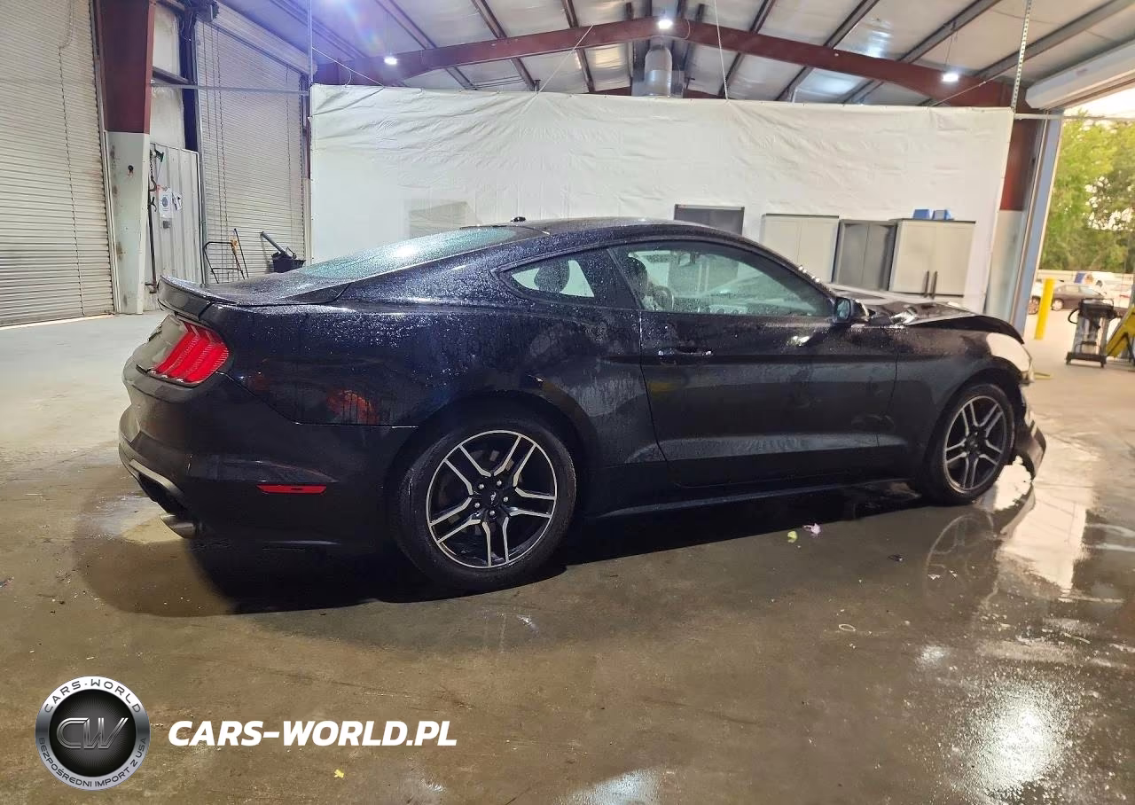 2020 Ford Mustang VIN:1FA6P8TH8L5136900 - 3