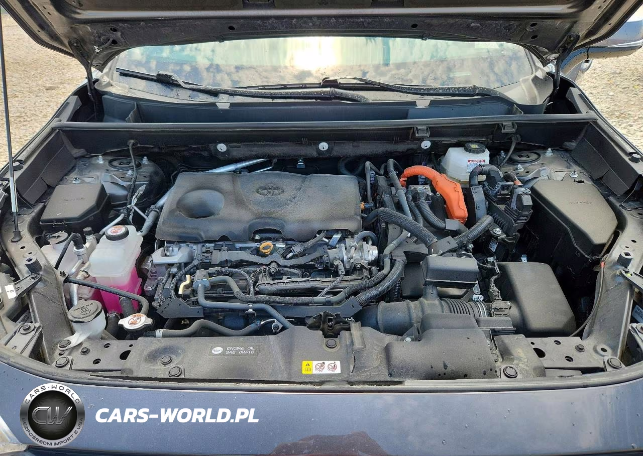 2024 Toyota Rav4 Se VIN:2T3T6RFV9RW065540 - 11