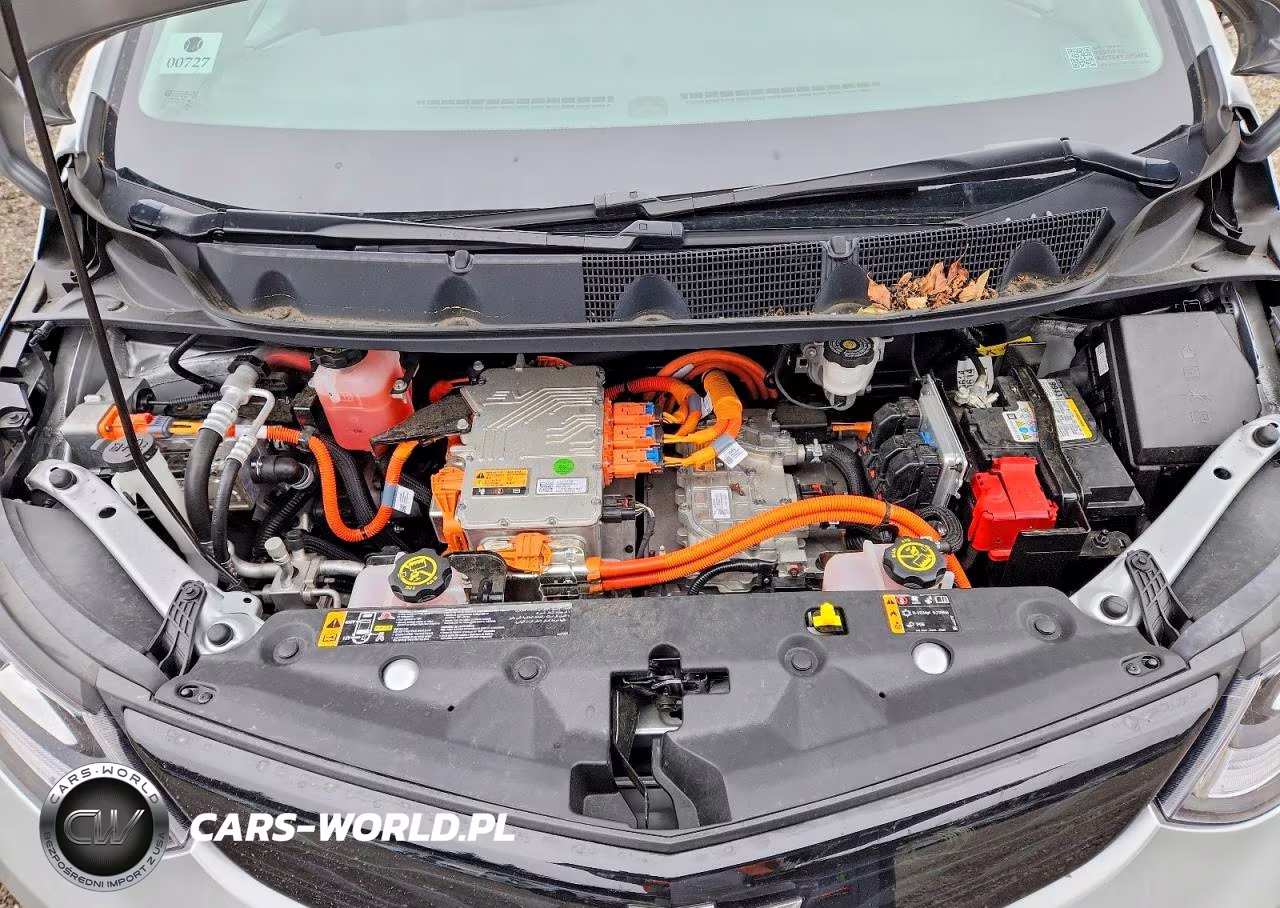 2019 Chevrolet Bolt Ev Premier VIN:1G1FZ6S01K4117204 - 11